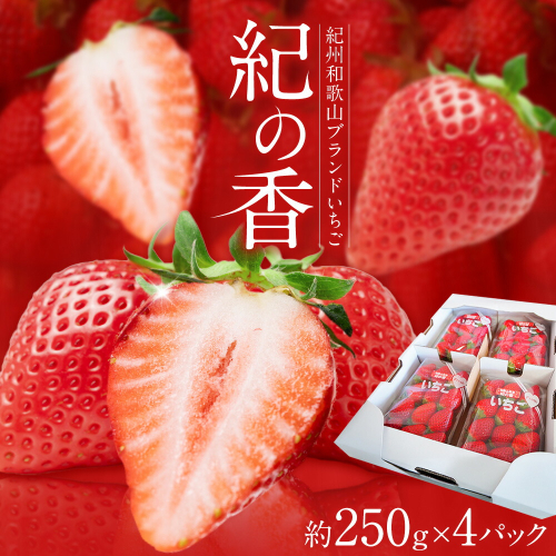 【先行予約】いちご イチゴ 苺 フルーツ 果物 紀州和歌山 ブランドいちご 紀の香 250g × 4パック 1kg 1000g 株式会社魚鶴商店《2027年2月上旬-2月下旬頃出荷》和歌山県 日高町 スイーツ 甘い ケーキ お菓子作り 2620002 - 和歌山県日高町