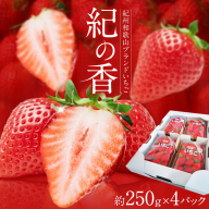 【先行予約】いちご イチゴ 苺 フルーツ 果物 紀州和歌山 ブランドいちご 紀の香 250g × 4パック 1kg 1000g 株式会社魚鶴商店《2027年2月上旬-2月下旬頃出荷》和歌山県 日高町 スイーツ 甘い ケーキ お菓子作り