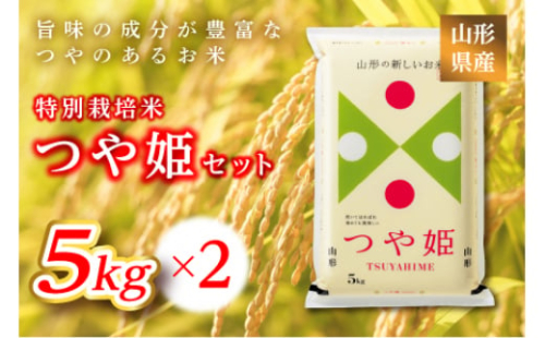 《ふるさとの極み》山形県産 つや姫セット 10kg(5kg×2)  米 お米 コメ ごはん ご飯 食品 山形県 F2Y-6660 262010 - 山形県山形県庁