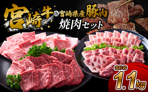 【宮崎牛・豚】焼肉食べ比べ 1.1kg (牛400g/豚700g) 真空パック 冷凍 小分け 2620193 - 宮崎県えびの市