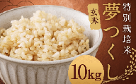 【令和8年度産先行予約】【玄米】 夢つくし （特別栽培米） 約10kg 福岡県産 令和8年産 玄米 米 こめ コメ