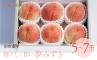 Inakakara 瑞々しく甘い 夢みずき 5～7玉(計2～2.1kg) 192-031-26y