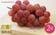Inakakara厳選！「クイーンニーナ」2房(約0.9~1.0kg) 192-034-26y