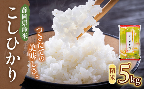 【令和7年産】静岡県産米 こしひかり 5kg 川島米穀店 お米 精米 こめ ご飯 白米 静岡 浜松市 2620315 - 静岡県浜松市