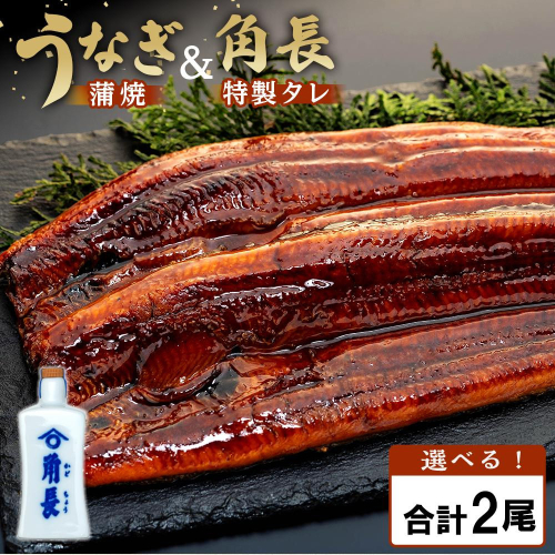 父の日までにお届け 【有田川町×湯浅町】うなぎ蒲焼2本＆角長特製蒲焼タレ1本セット 2620320 - 和歌山県有田川町
