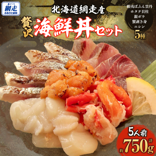 贅沢 網走海鮮丼セット「5人前」 ABJ023 2620436 - 北海道網走市