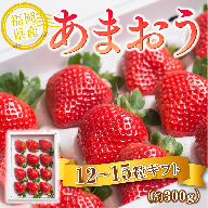 いちご あまおう 福岡産あまおう 12～15粒 【期間限定発送】 [南国フルーツ 福岡県 宇美町 um40azo970007] 先行予約 イチゴ 苺 フルーツ 果物 果実 甘い 小分け あまい