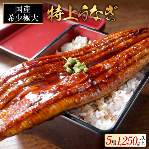 国産 希少 極大 特上うなぎ(250g×5尾) 2620952 - 北海道別海町