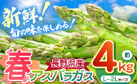 春 アスパラガス 約4kg 農家直送 ハウス栽培（路地栽培あり）｜野菜 やさい ヤサイ 根物 ねもの ネモノ アスパラ あすぱら アスパラガス あすぱらがす 春 旬 出荷 長野県 木島平村 ハウス 栽培 農家 直送