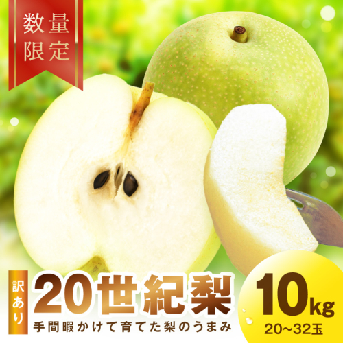 【先行予約／数量限定30】訳あり 廿世紀梨 10kg（2026年9月上旬～発送） 2621082 - 京都府京丹後市