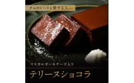 テリーヌショコラ バナナベー 山口県 防府市 O-H17 テリーヌショコラ 濃厚 チョコレート マスカルポーネ なめらか チョコ スイーツ ギフト 贈り物 お取り寄せ