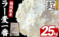 福岡県産 小麦 ラー麦一番 (25kg) 国産 福岡県産 ブランド 小麦 小麦粉 餃子 パン アレンジ ちくしW2号 ラーメン用 ラーメン 焼きそば ちゃんぽん パン作り 25kg 【FUKUOKA MIOTSUKUSHI】as55-046
