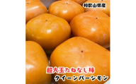 [柿のふるさと]とっても大きいサイズのたねなし柿 クイーンパーシモン 約4kg 4L〜7Lサイズ 青秀以上 [MS153]