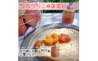 DD-019_行橋産なつっこ＆蓬莱柿　ゆくはしの桃と無花果2層ジャム 120g×1本