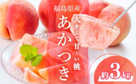 【2026年出荷分】福島県伊達市産 あかつき 約3kg (9～10玉) 株式会社大喜 伊達の桃 桃 フルーツ 果物 もも モモ momo F21C-504
