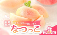 【2026年出荷分】福島県伊達市産 なつっこ 約3kg (9～10玉) 株式会社大喜 伊達の桃 桃 フルーツ 果物 もも モモ momo F21C-508