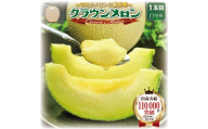＜発送月固定定期便＞掛川市人気のクラウンメロンとキウイの定期便全2回【4014745】