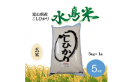 栽培期間中農薬・化学肥料不使用　こしひかり　玄米 5kg×1袋(5kg)【1735069】