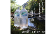 国頭村のおいしい水 やんばるの森と海 2000ml×6本【1732491】