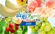夏秋の山形フルーツ定期便（全4回） FSY-2836