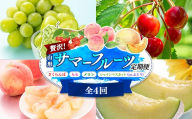 山形贅沢サマーフルーツ定期便（全4回） FSY-2838