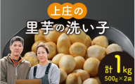 【先行予約】皮むきいらず、煮っ転がしに最適！上庄の里芋の洗い子 1kg【冷凍】【10月中旬より順次発送】