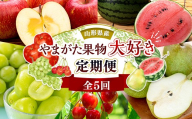やまがた果物大好き定期便（全5回） FSY-2832
