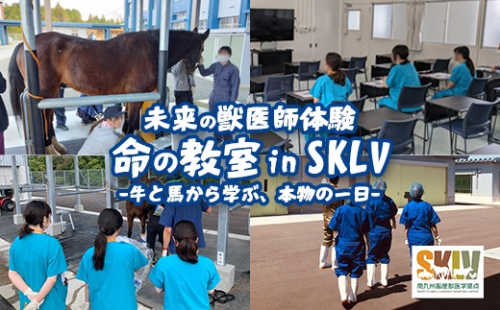 【未来の獣医師体験】命の教室 in SKLV -牛と馬から学ぶ、本物の一日- （対象年齢：小学生～高校生 / 1名） 体験 獣医学 体験チケット 【SKLV そお】 A1116 2621743 - 鹿児島県曽於市