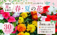 【マリーゴールドミックス】【春・夏】【選べる3種】森の国から届ける花苗ポット（30ポット） | 花 花壇 苗 ベランダ マリーゴールド 日々草 季節の花 ※2026年3月～発送