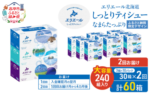 【2回お届け 計60箱】エリエール 北海道 しっとりティシュー なまらたっぷり 240組3箱 10パック ふるさと納税限定デザイン ボックスティシュー 箱ティッシュ ペーパー 備蓄品 花粉 保湿成分 グリセリン配合 2621934 - 北海道赤平市