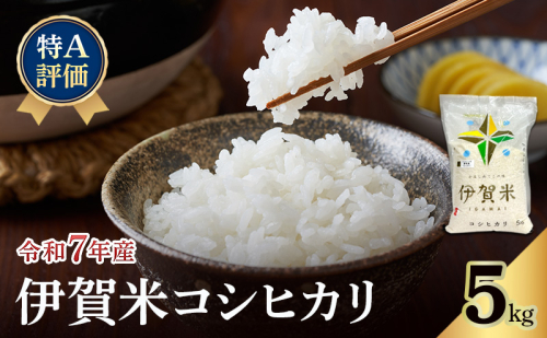 【特A評価】令和7年産 伊賀米コシヒカリ5kg（精米）　お米 米 白米 こしひかり ごはん 三重県 名張市 2621939 - 三重県名張市