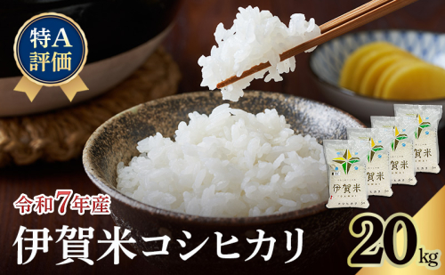 【特A評価】令和7年産 伊賀米コシヒカリ20kg（精米）　お米 米 白米 こしひかり ごはん 三重県 名張市 2621948 - 三重県名張市