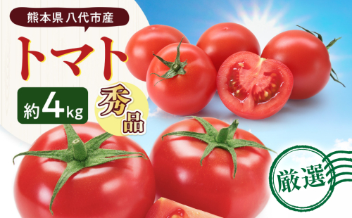 【先行予約】熊本県八代市産 トマト 約4kg (20玉または24玉) とまと 野菜 やさい サラダ 旬 旬の野菜 新鮮 新鮮な野菜 熊本県 八代市 【2027年1月上旬より順次発送】 2621958 - 熊本県八代市