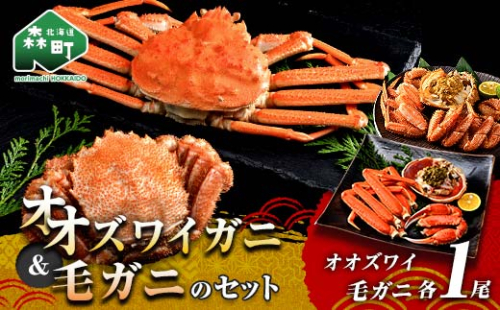 オオズワイガニ毛がに2尾セット オオズワイガニ1尾(300～350g前後) 毛がに1尾(約350g) ＜海鮮問屋　株式会社　瑞宝＞ かに カニ 蟹 ガニ がに 海鮮 森町 北海道 mr1-1304 2621959 - 北海道森町