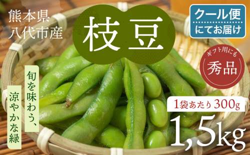 【先行予約】 熊本県八代市産 枝豆 1.5kg えだまめ エダマメ 茶豆 産地直送 おつまみ 野菜 お弁当 豆 まめ 旬 熊本県 八代市 【2026年7月上旬より順次発送】 2621960 - 熊本県八代市