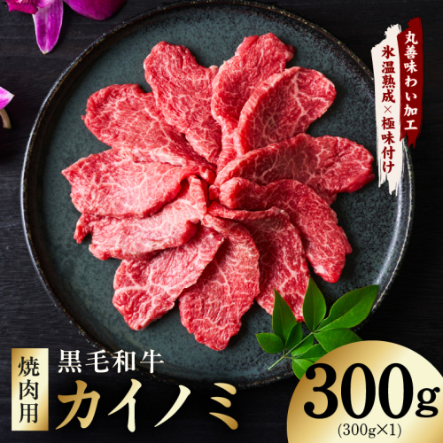 【氷温熟成×極味付け】黒毛和牛 カイノミ 焼肉用 300g【小分け 300g×1P 牛肉 かいのみ 赤身 希少部位】 mrz0444 2621962 - 大阪府泉佐野市
