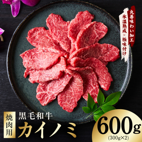 【氷温熟成×極味付け】黒毛和牛 カイノミ 焼肉用 600g【小分け 300g×2P 牛肉 かいのみ 赤身 希少部位】 mrz0445 2621963 - 大阪府泉佐野市