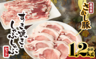 鹿屋産豚肉すき焼き・しゃぶしゃぶセット【8月お届け】　KN079-002-8