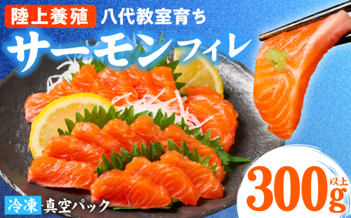 八代 教室育ちサーモン フィレ300g以上 サーモン 刺身 鮭 生食 魚 冷凍 海鮮 さけ サケ シャケ 熊本県 八代市 2622074 - 熊本県八代市