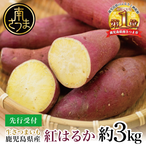 【鹿児島県産】生さつまいも「紅はるか」約3kg ★11月以降順次出荷★ 冬季限定 先行受付 さつまいも 生いも 生芋 焼き芋 さつま芋 甘藷 サツマイモ べにはるか スイーツ 野菜 貯蔵 常温保存 旬 JA南さつま 鹿児島県 南さつま市 2622079 - 鹿児島県南さつま市