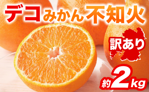 【先行予約】 【訳あり】 不知火 デコみかん 約2kg しらぬい みかん 柑橘 くだもの 果物 フルーツ 旬 熊本県 八代市 【2027年1月中旬より順次発送】 2622080 - 熊本県八代市