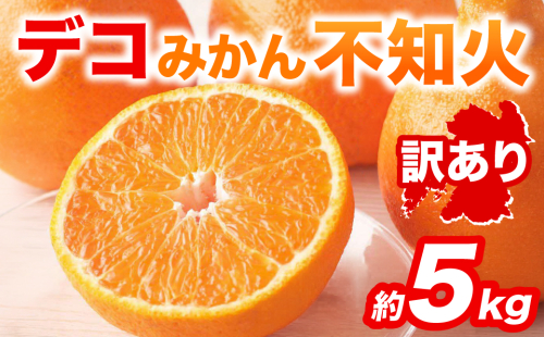 【先行予約】 【訳あり】 不知火 デコみかん 約5kg しらぬい みかん 柑橘 くだもの 果物 フルーツ 旬 熊本県 八代市 【2027年1月中旬より順次発送】 2622081 - 熊本県八代市