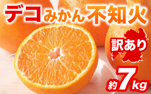 【先行予約】 【訳あり】 不知火 デコみかん 約7kg しらぬい みかん 柑橘 くだもの 果物 フルーツ 旬 熊本県 八代市 【2027年1月中旬より順次発送】 2622082 - 熊本県八代市