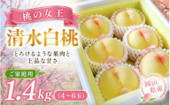 【2026年先行予約】桃 清水白桃 約1.4kg（4～6玉）岡山県産 ご家庭用 もも 白桃 フルーツ 果物 きびもも園【kbmm001】