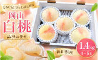【2026年先行予約】桃 岡山白桃 約1.4kg（4～6玉）岡山県産 ご家庭用 もも 白桃 フルーツ 果物 きびもも園【kbmm002】