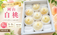 【2026年先行予約】桃 岡山白桃 晩生種 約2kg（5~9玉）岡山県産 ご家庭用 もも 白桃 フルーツ 果物 きびもも園【kbmm003】