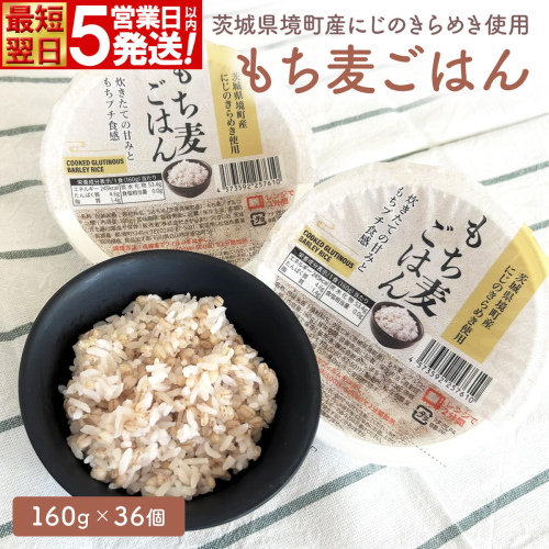 【最短翌日発送】茨城県境町産 にじのきらめき 使用 もち麦ごはん 160g×36個 パックライス ライスパック パックご飯 K2676 2622169 - 茨城県境町