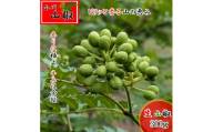 266＊信州小川村　生山椒の実300ｇ　