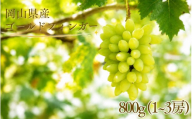 【2026年先行予約】岡山県産 希少品種 ゴールドフィンガー 800g(1~3房)  / ぶどう 岡山 ゴールドフィンガー 高級 果物 産地直送 国産 数量限定 【tppn001-01】