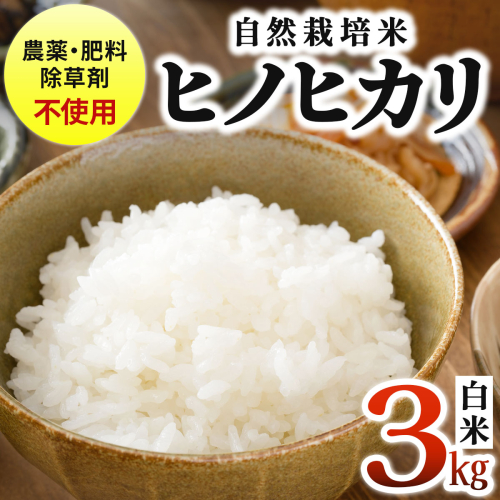 農薬・除草剤・肥料不使用 自然栽培米 令和7年度産ヒノヒカリ 白米 3kg 2622248 - 福岡県篠栗町